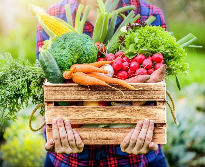 Aliments : 5 legumes a consommer apres 50 ans selon une dieteticienne