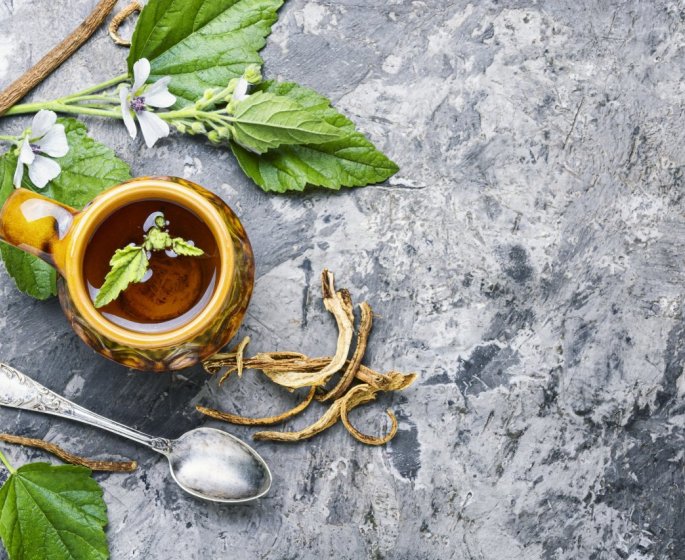 Toux : 10 plantes qui la soulagent efficacement 