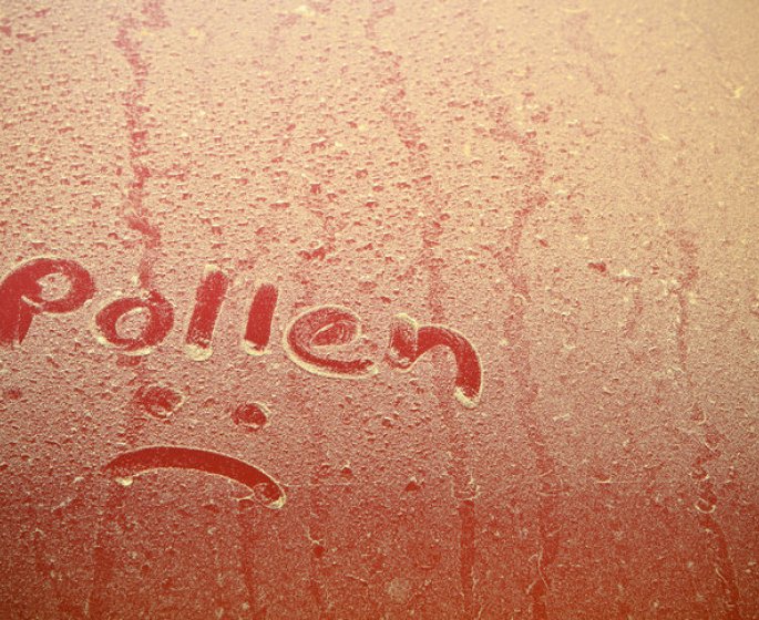 Allergie aux pollens : 20 departements en alerte rouge