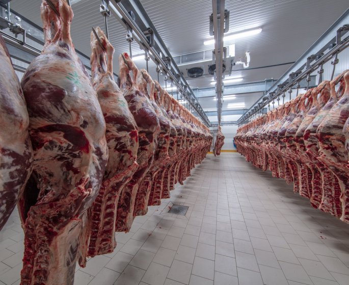 Clusters dans les abattoirs : peut-on manger de la viande sans attraper le Covid-19 ?
