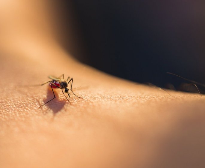 Piqures de moustique : 7 astuces pour les eviter