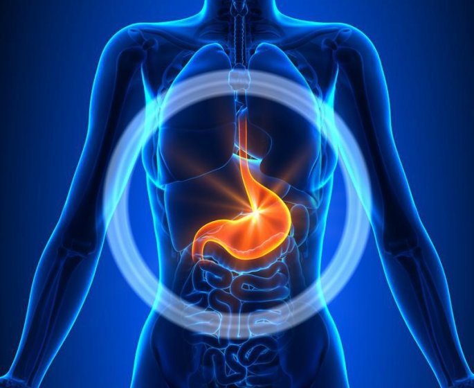 10 mauvaises habitudes qui augmentent votre risque de cancer de l’estomac