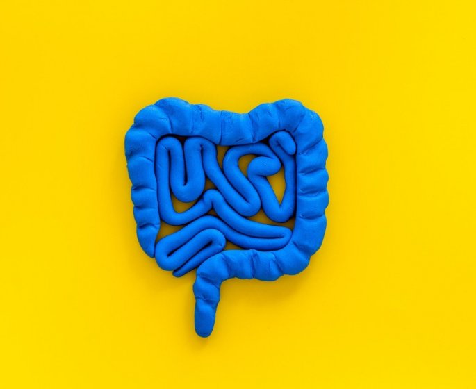 9 signes que votre intestin est malade selon un medecin 