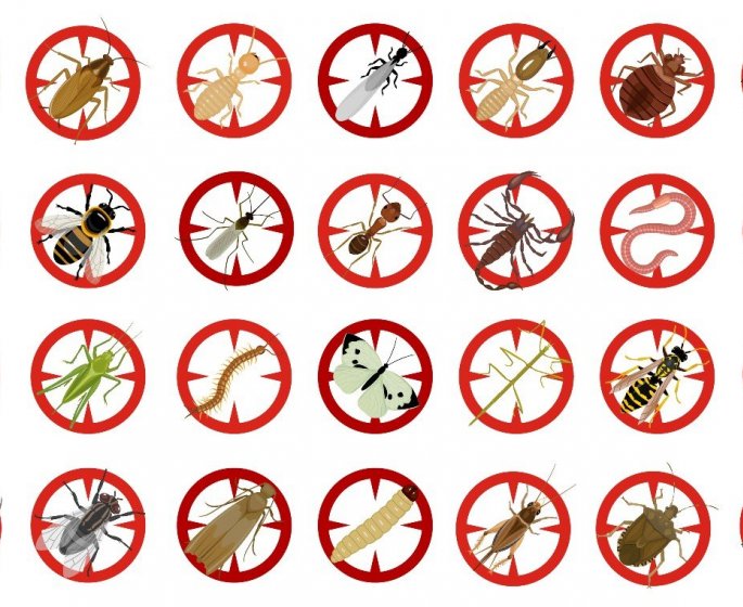 [Enquete exclusive] Les 7 animaux de l’ete qui vous inquietent le plus 