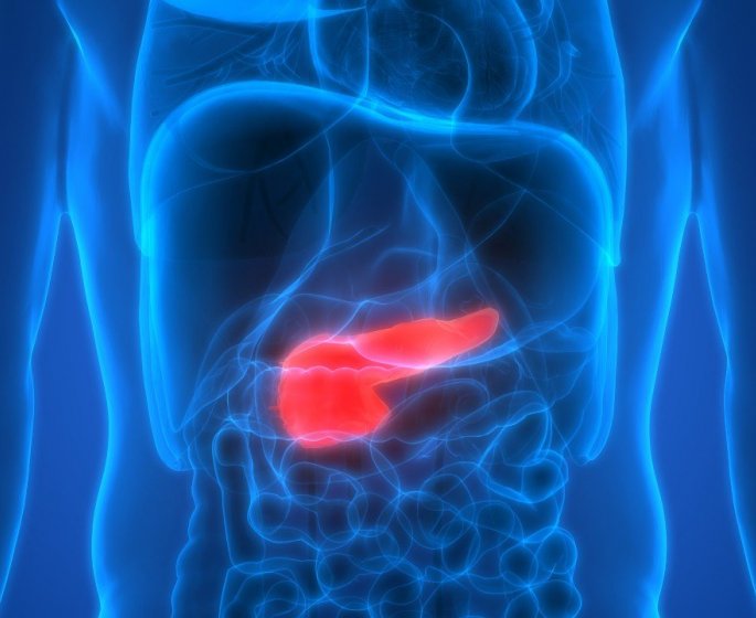 Cancer du pancreas : 5 symptomes qui doivent vous alerter apres le repas