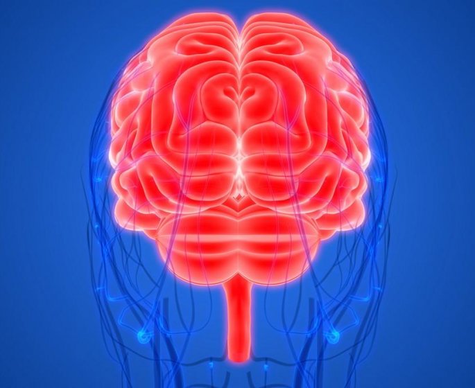 Comment reparer une malformation arterio-veineuse dans le cerveau : les images au bloc