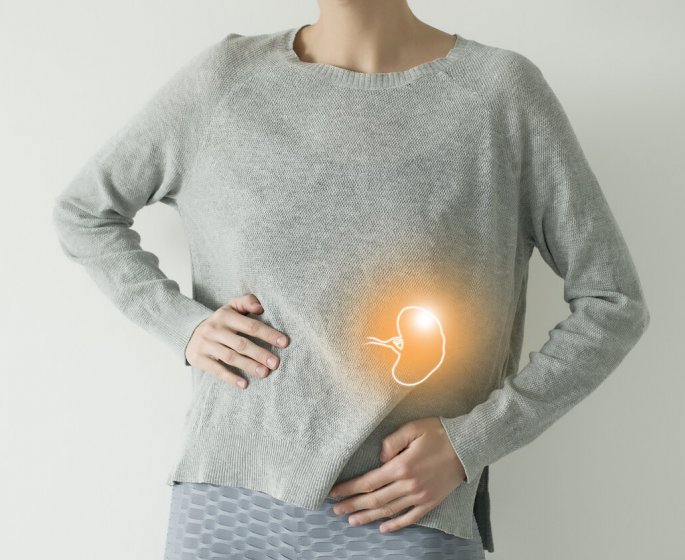 La rate : zoom sur cet organe meconnu et les signes a reperer en cas d’anomalie
