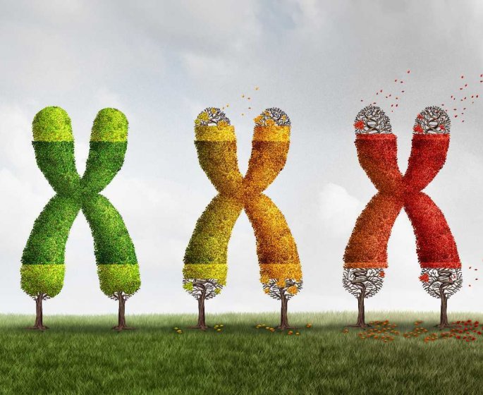 5 facons de ralentir le vieillissement selon la science