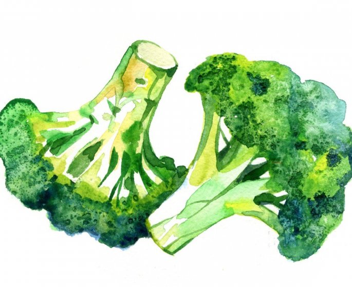 Intestin : 12 aliments riches en fibres pour lutter contre les microbes