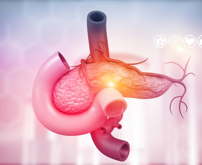 8 aliments qui nuisent a la sante de votre pancreas