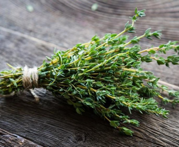 Desinfectant, booster d-immunite : 7 raisons de prendre du thym sous toutes ses formes