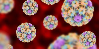 Papillomavirus femme-homme : symptomes, traitements, vaccin, transmission