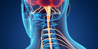 Malaise vagal : symptomes, causes, traitements et comment l-eviter ?