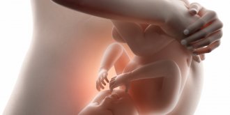 Pre-eclampsie ou toxemie gravidique pendant la grossesse : symptomes et traitements 