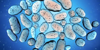Gastro-enterite : epidemie 2021-22, symptomes, duree, comment la soigner ?