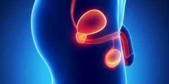 Maladie de Lapeyronie : symptomes, causes, traitements 