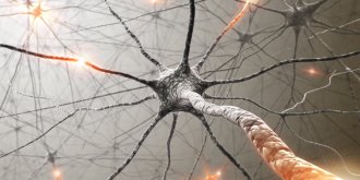 Polynevrite ou polyneuropathie distale chronique : definition, symptomes, traitements