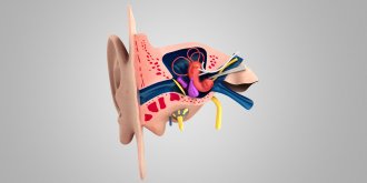 Neurinome de l-acoustique : symptomes, causes, traitements