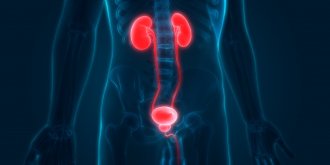 Uretrite (infection de l’uretre) : symptomes, traitements, causes