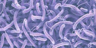 Cholera : symptomes, traitements, vaccin contre cette maladie diarrheique