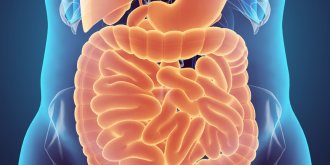 Constipation : symptomes, causes, que faire et manger si on est constipe ?