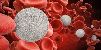 Leucocytes : globules blancs trop eleves ou bas, quel est le bon taux dans le sang ?