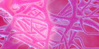 Polyarthrite rhumatoide : symptomes, causes, traitements pour la soigner