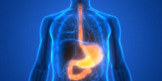 Endobrachyœsophage (EBO) : symptomes, causes, traitements de l’œsophage de Barrett