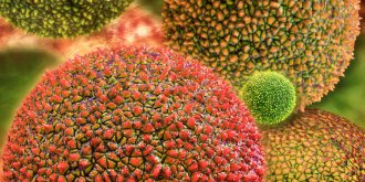 Allergie : symptomes, traitements, causes des allergies 