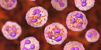 Meningite (bacterienne, virale) : definition, symptomes, contagion, vaccin