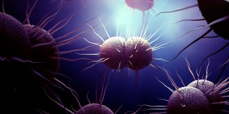 Gonorrhee (blennorragie) : symptomes et traitements de la gonococcie