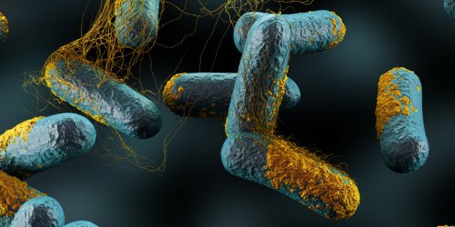 Botulisme : symptomes, traitements, diagnostic