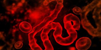 Virus Ebola : symptomes, origine, vaccin, une epidemie au Congo ?