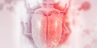 Glossite (inflammation de la langue) : causes, traitements pour la soigner