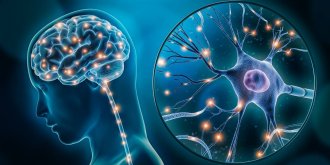 Spasmophilie : symptomes, causes, et que faire en cas de crise ?