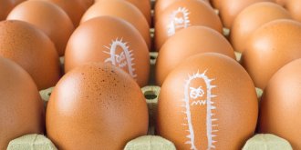 Rappel produit : pourquoi les œufs peuvent etre tres dangereux ?