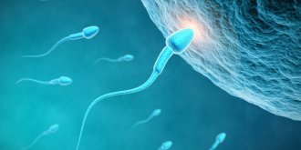 Insemination artificielle : quand peut-on la faire ? 