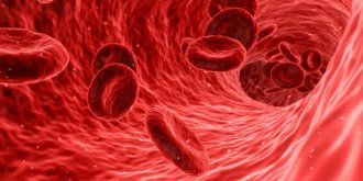 Septicemie (infection dans le sang ou sepsis) : definition, symptomes, traitements