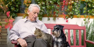  Chiens et chats : Les idees recues les plus courantes !