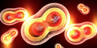 Trisomie 21 (syndrome de Down) : depistage, causes, esperance de vie