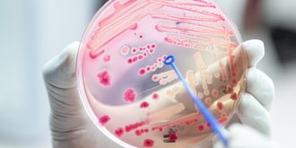 Meningite virale ou bacterienne : la difference