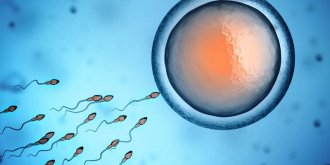 Insemination artificielle : comment se deroule la procedure ?