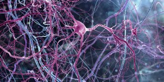 Maladie de Charcot ou Sclerose laterale amyotrophique (SLA) : symptomes et traitements