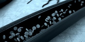 Anevrisme : ou se situe l-aorte abdominale ?