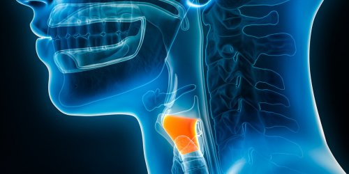 La premiere greffe de larynx realisee en France 