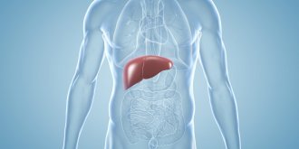 Cancer du foie : symptomes, survie, traitements 