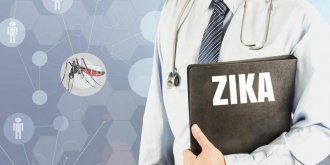 L-origine du virus Zika