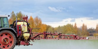 Le glyphosate associe a un risque de lesions neuronales
