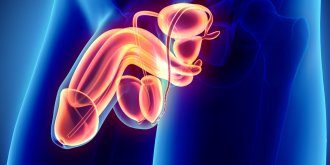 Phimosis du prepuce : definition, causes, traitements, et operation