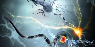Maladie d-Alzheimer : symptomes, causes, traitements, evolution